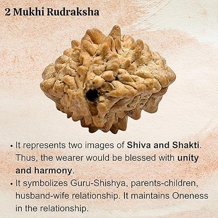 1 Mukhi Nepali Rudraksha